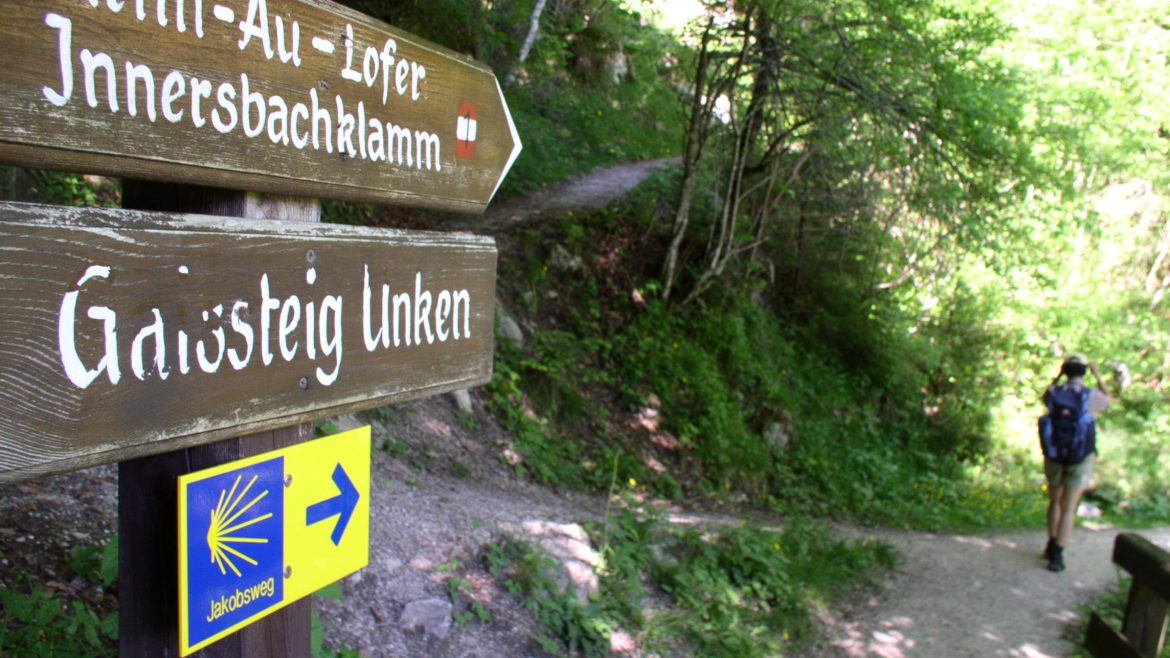 Hölzerne Wegweiser und ein gelber Pfeil weisen einem Pilgernden Wanderer den Weg über einen ruhigen Waldweg.