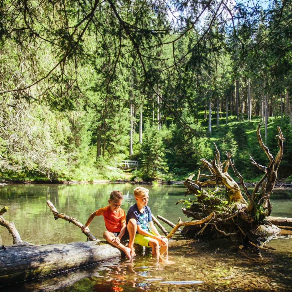 Zwei Kinder sitzen auf einem umgestürzten Baumstamm an einem klaren Waldbach und tauchen an einem sonnigen Tag ihre Füße ins Wasser.