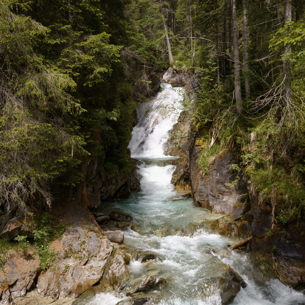 Klamm im Wald