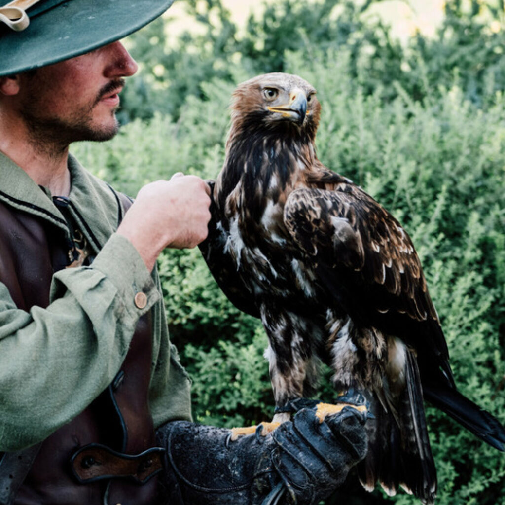 Ein Mann in mittelalterlicher Kleidung hält einen großen Adler auf seiner behandschuhten Hand und steht im Freien in der Nähe von Grünflächen.