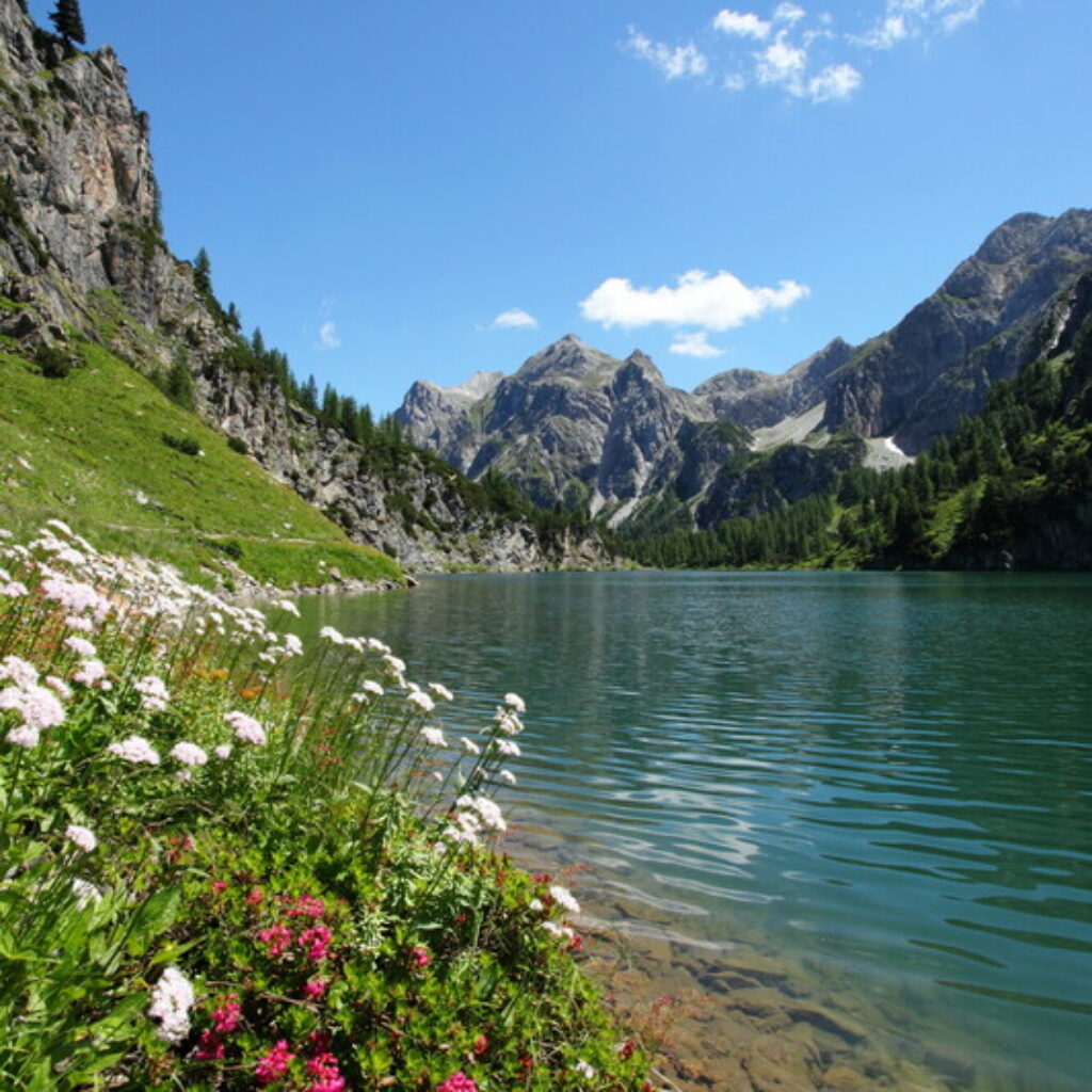 Ein Bergsee mit klarem Wasser, Wildblumen und felsigen Gipfeln unter einem strahlend blauen Himmel mit wenigen Wolken.