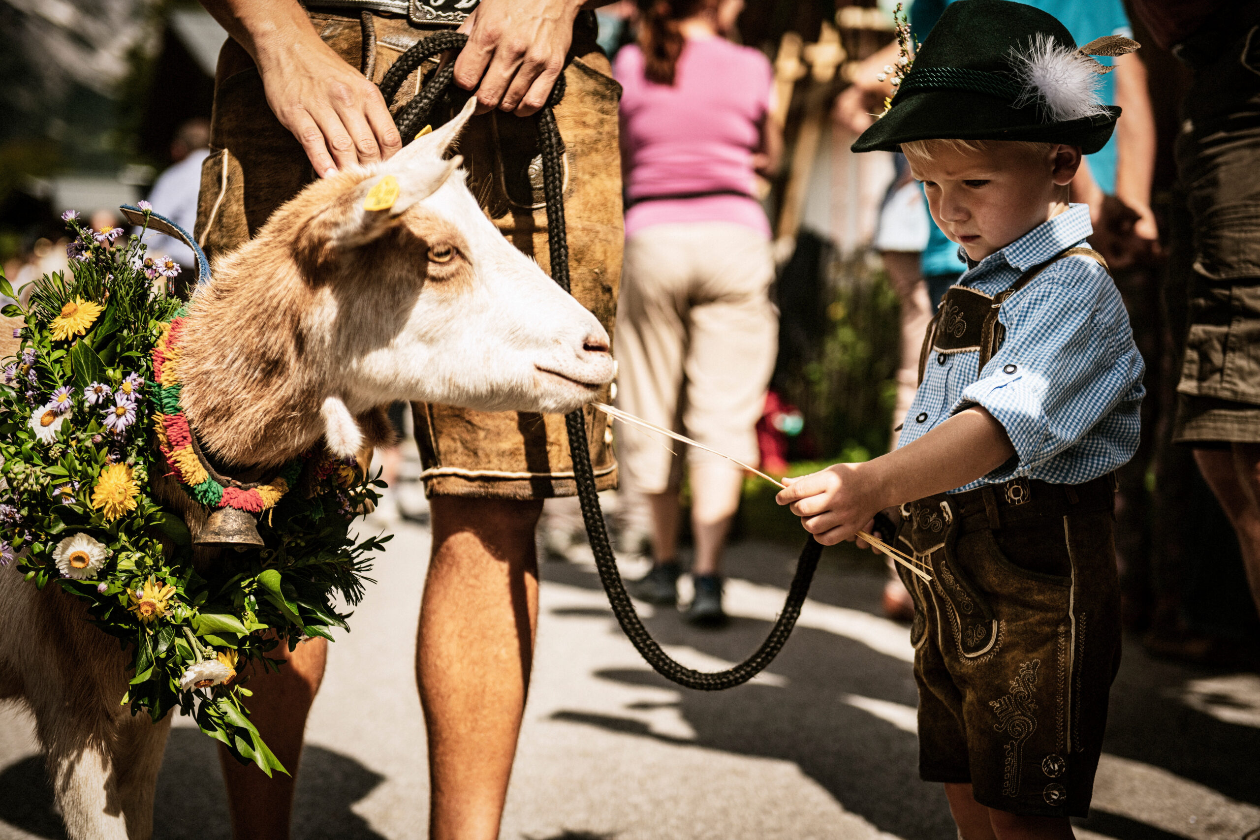 Ein kleiner Junge in österreichischer Tracht hält ein Seil fest, an dem eine mit einem Blumenkranz geschmückte Ziege befestigt ist.