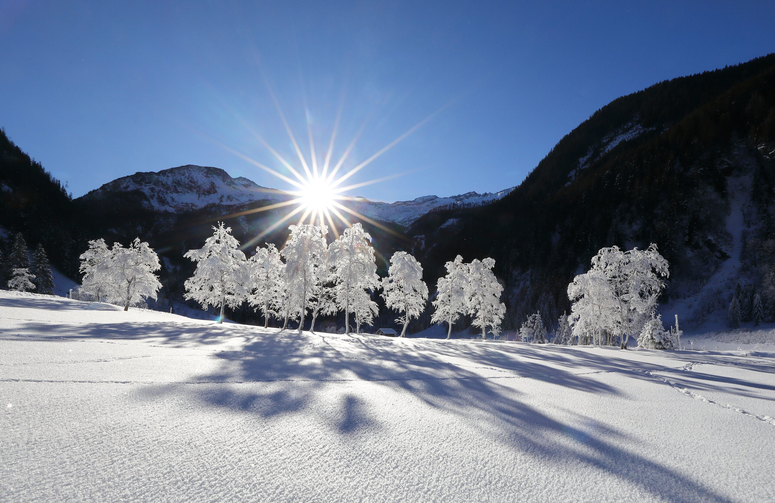 Sonnenstrahlen über schneebedeckten Bäumen in einer österreichischen Berglandschaft.